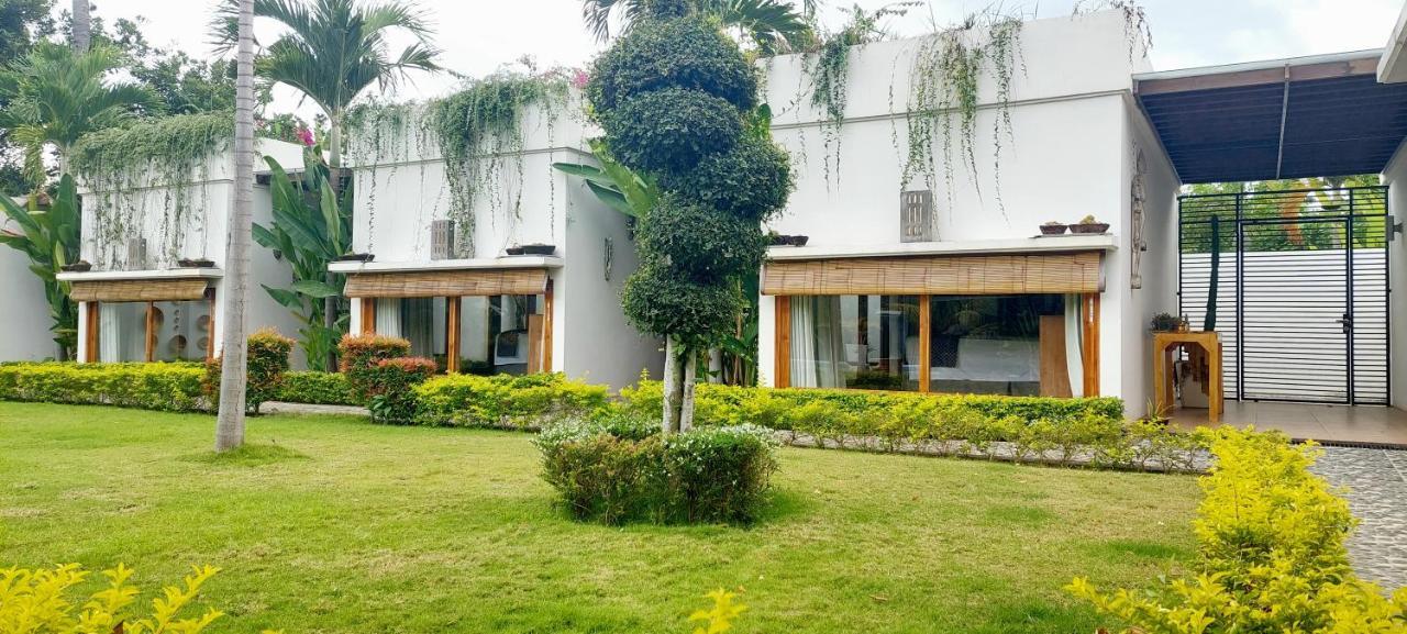 The Edicha Bed & Breakfast Lovina Exterior foto